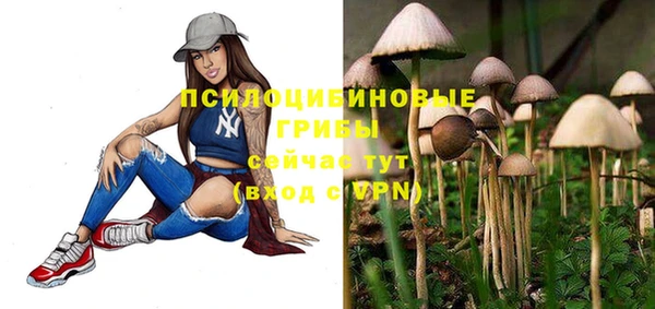альфа пвп Надым