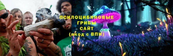 альфа пвп Надым