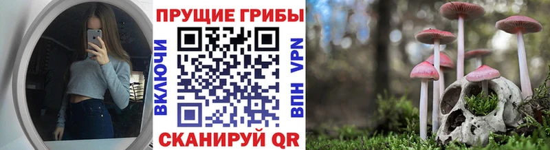 Псилоцибиновые грибы MAGIC MUSHROOMS  кракен вход  Петровск-Забайкальский 